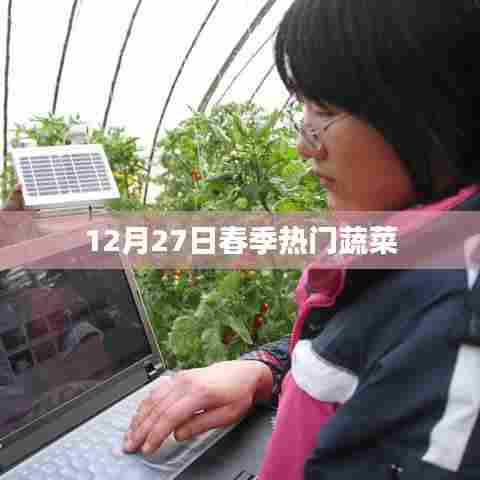 春季热门蔬菜，12月27日新鲜上市推荐