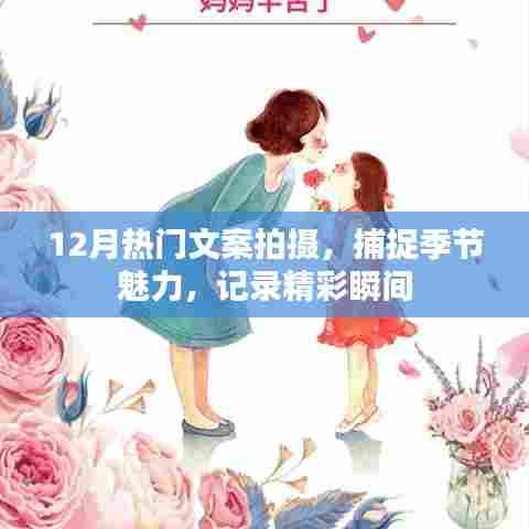 12月热门文案拍摄，捕捉季节魅力，记录美好时光