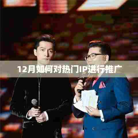 12月热门IP推广策略与技巧