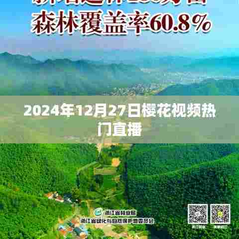 『樱花视频直播盛典，热门直播回顾』