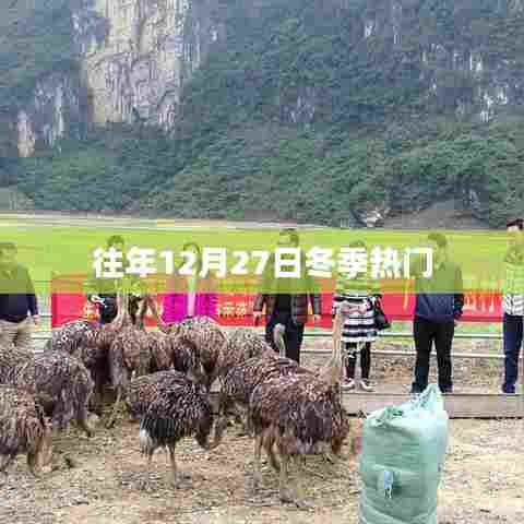 冬季节日热门活动回顾