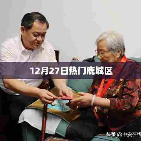 鹿城区12月27日热点事件概览