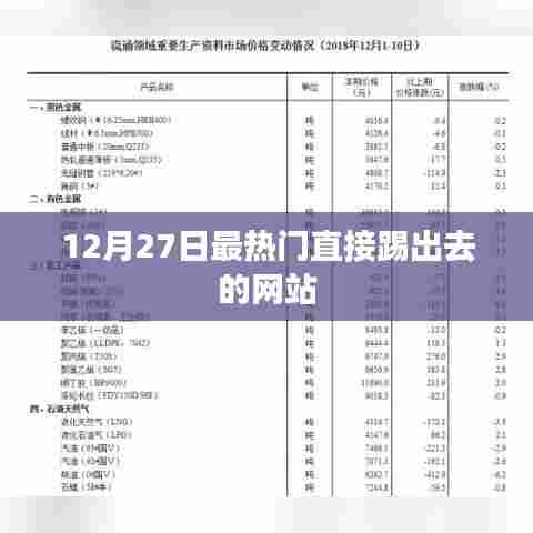 年终热点，揭秘最受欢迎的网站踢出服务