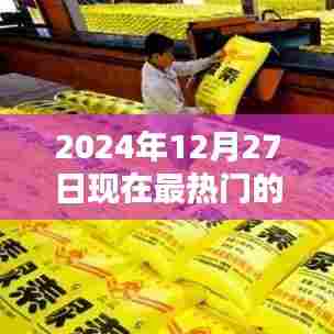 2024年年末大热影视题材盘点