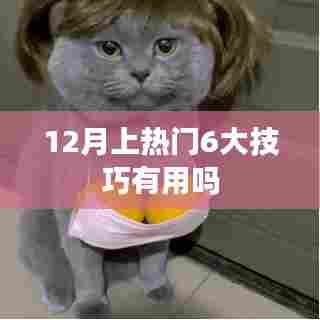揭秘，12月热门推广的六大技巧真的有效吗？