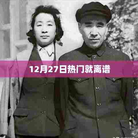 12月27日热点事件大揭秘，离奇热门事件回顾