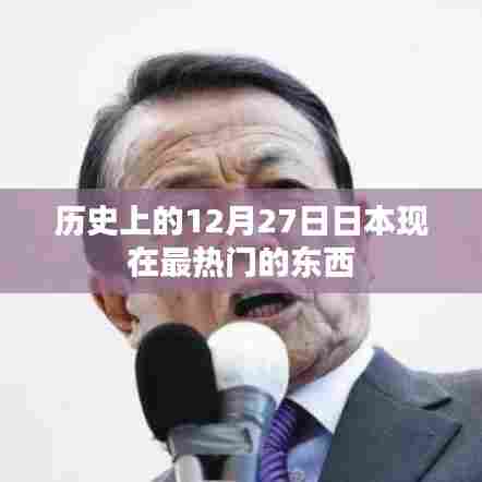 日本热门文化变迁，揭秘十二月二十七日历史影响