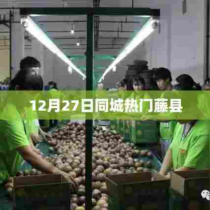 藤县同城热门活动12月27日盘点