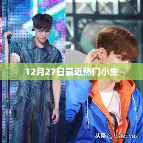 12月27日热门小生榜单出炉