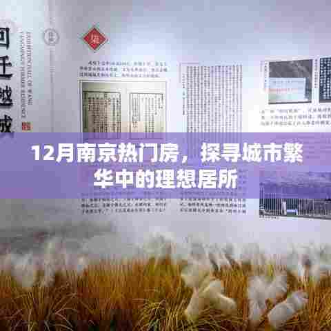 南京热门房源探寻，城市繁华中的理想居所