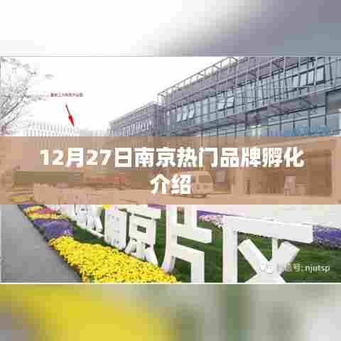 南京品牌孵化盛典，12月27日热门品牌揭晓