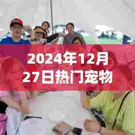 热门宠物产品深度解析，2024年12月软件市场趋势