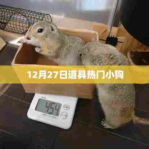12月27日热门小狗道具盘点