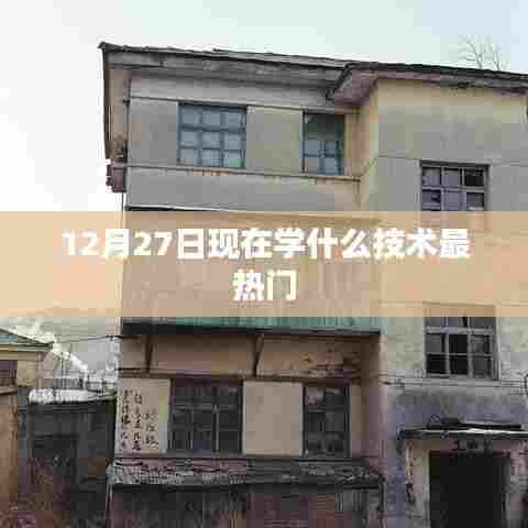 12月27日热门技术趋势，掌握哪些技能最抢手？