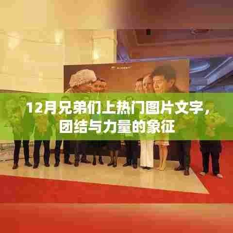 12月兄弟团结力量，热门图片文字展现