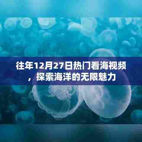 往年12月热门看海视频，揭秘海洋魅力