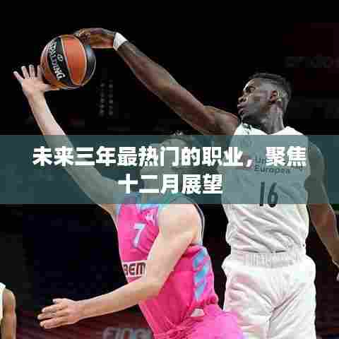 未来三年热门职业展望，聚焦十二月趋势