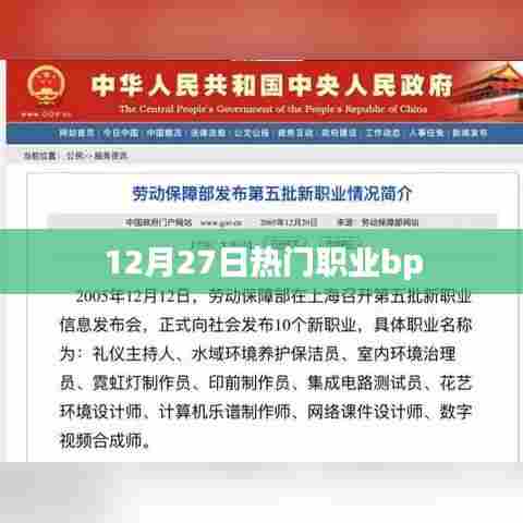 12月27日热门职业BP解读