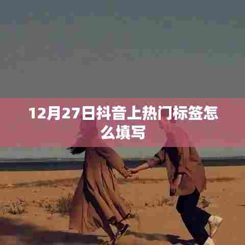 抖音热门标签填写策略，如何高效上热门于12月27日？