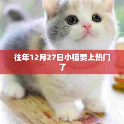 往年12月27日小猫成热门焦点