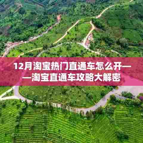 淘宝直通车攻略揭秘，如何玩转12月热门直通车