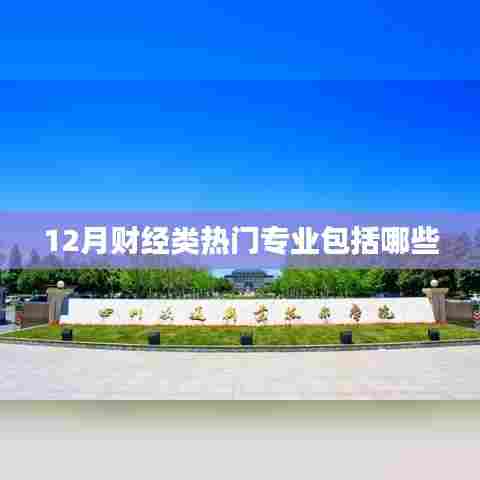 热门财经专业解读，12月财经类专业概览