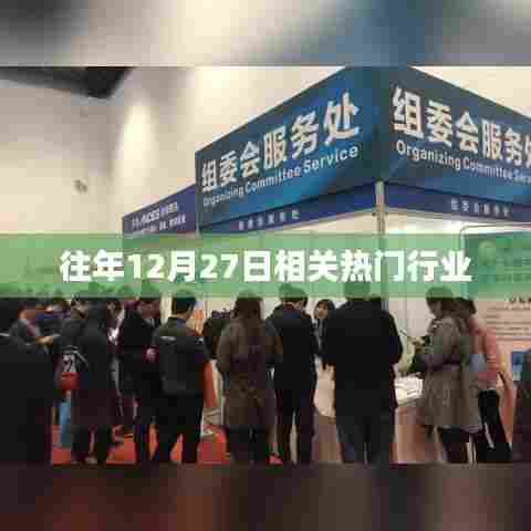往年12月27日热门行业回顾与趋势分析