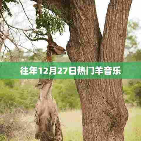 往年12月27日热门羊年音乐回顾