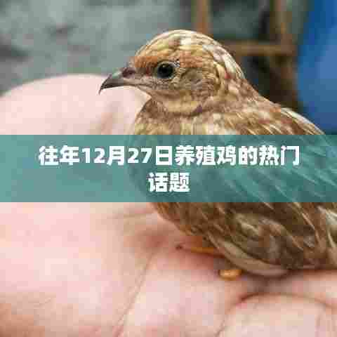 林下风范 第8页