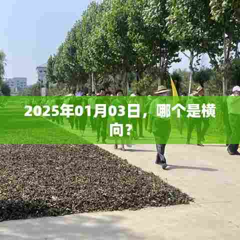 大口径钢管 第153页