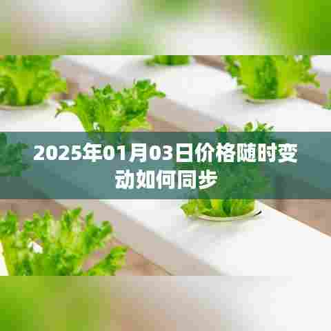 2025年价格实时同步，如何应对每日波动