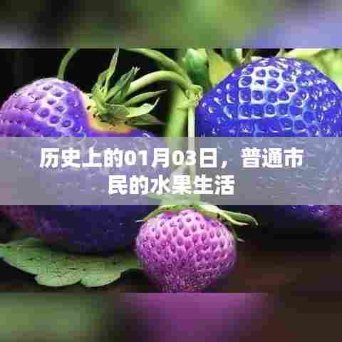 历史中的水果生活，一月三日市民日常观察。