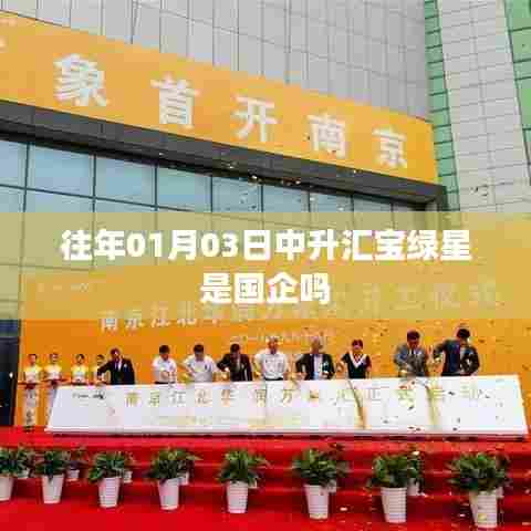 中升汇宝绿星企业性质，国企还是私企？