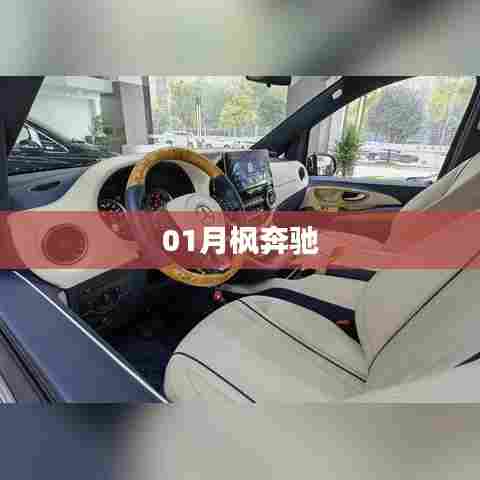 一月风华，奔驰风采展现