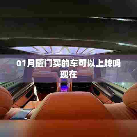 厦门购车一月能否上牌？最新解答