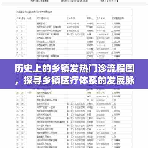 乡镇发热门诊流程图揭秘，探寻医疗体系发展脉络