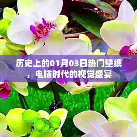 电脑时代视觉盛宴，历史上的热门壁纸精选（日期，01月03日）