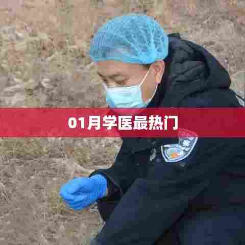 一月热门学医趋势分析