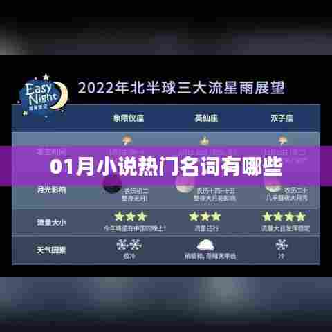 『一月小说热门词汇一网打尽』