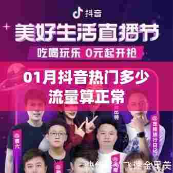 抖音热门流量标准解析，一月内多少流量算正常
