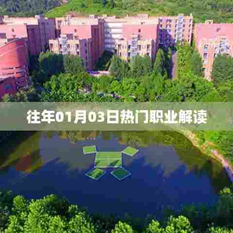 历年一月初热门职业深度解析