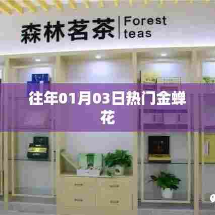 金蝉花，历年一月三日热门之选