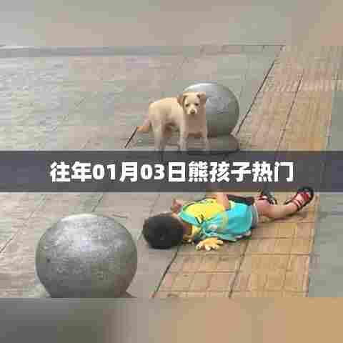 熊孩子热门事件回顾，日期背后的故事