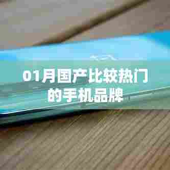 01月国产热门手机品牌盘点