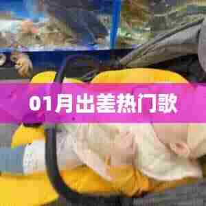 精选出差必备金曲，一月出行必备歌曲推荐