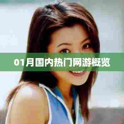 热门网游概览，一月国内游戏市场速览
