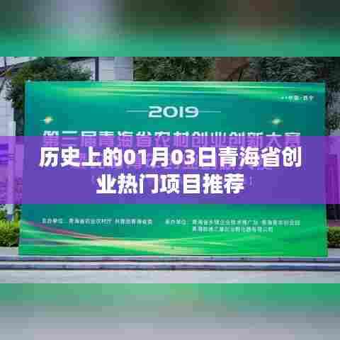 青海省创业热门项目推荐，历史日期下的机遇（01月03日）