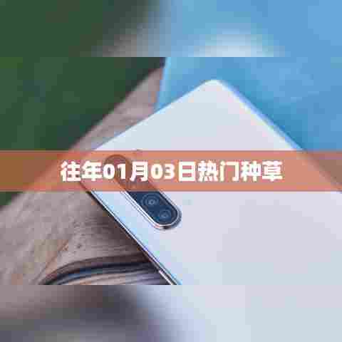 『新年首周热门种草推荐』