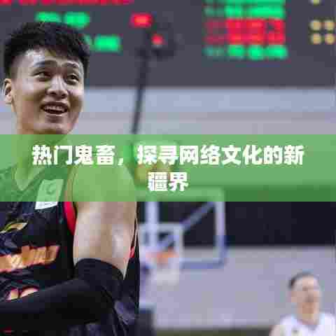 热门鬼畜，探寻网络文化疆界