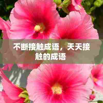 不断接触成语，天天接触的成语 